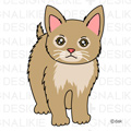 子猫