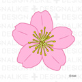 サクラの花