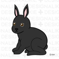 黒うさぎ